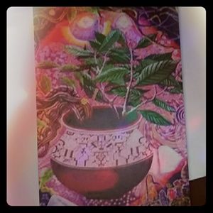 18×29 trippy wall art